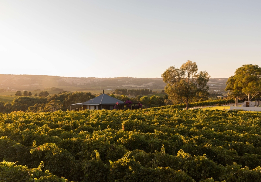 The Vineyard Retreat, Mclaren Vale
