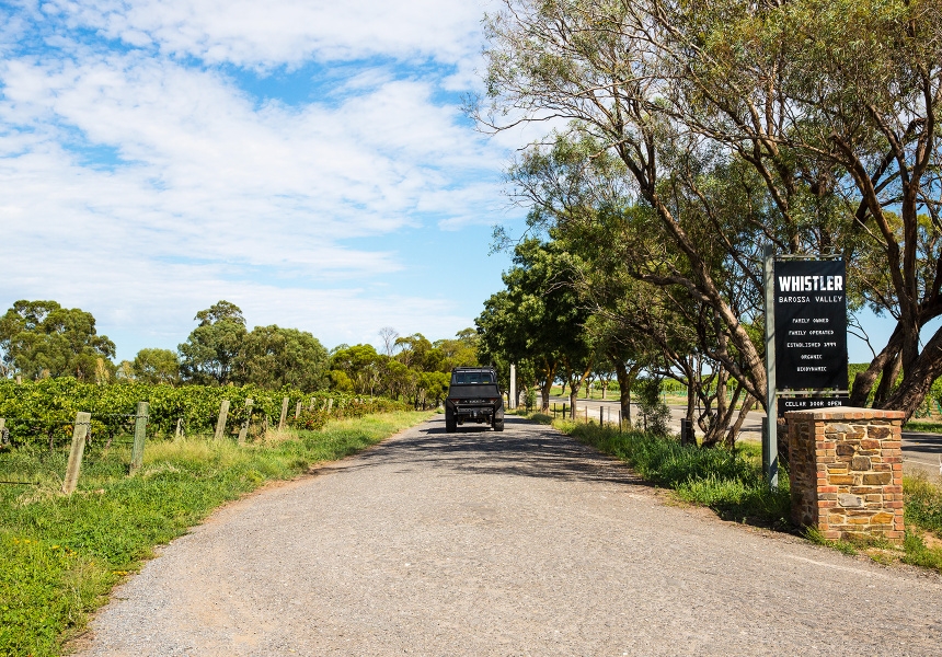 Whistler, Barossa Valley
