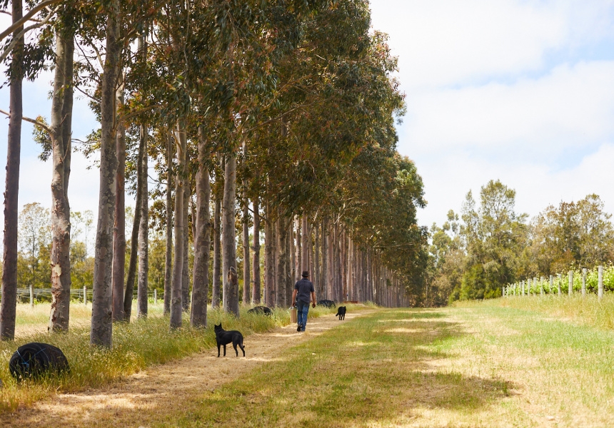 Glenarty Road, WA
