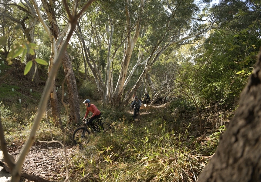 Melrose, Flinders Ranges
