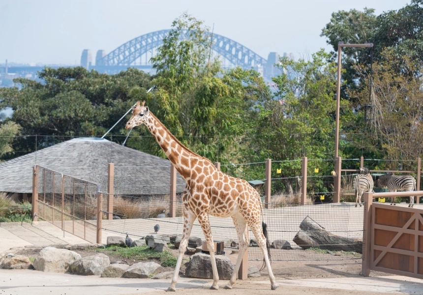 Taronga Zoo
