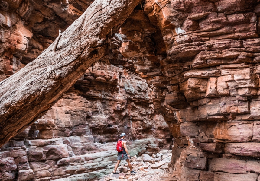 Alligator Gorge, Mount Remarkable
