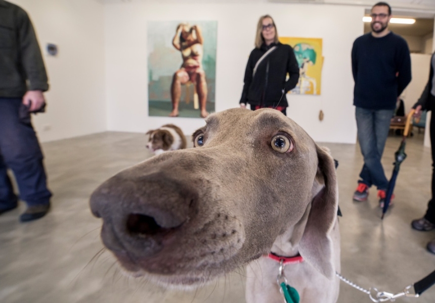 Dog Friendly Art Tour
