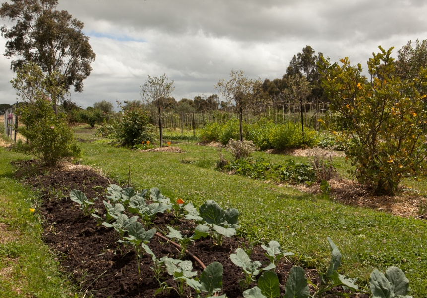 The gardens at Brae 
