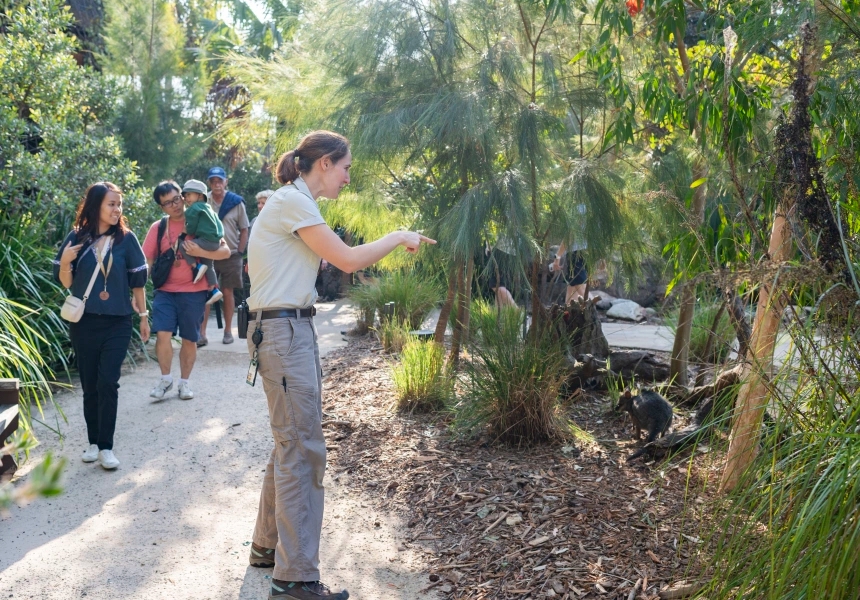 Taronga Zoo
