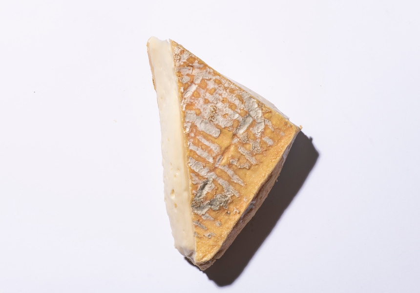 Taleggio
