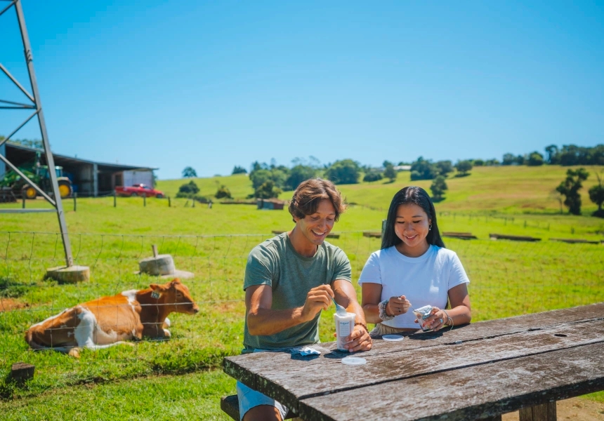 Maleny Dairies
