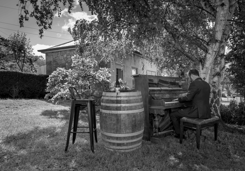 Dark Shed at Uplands Vineyard
