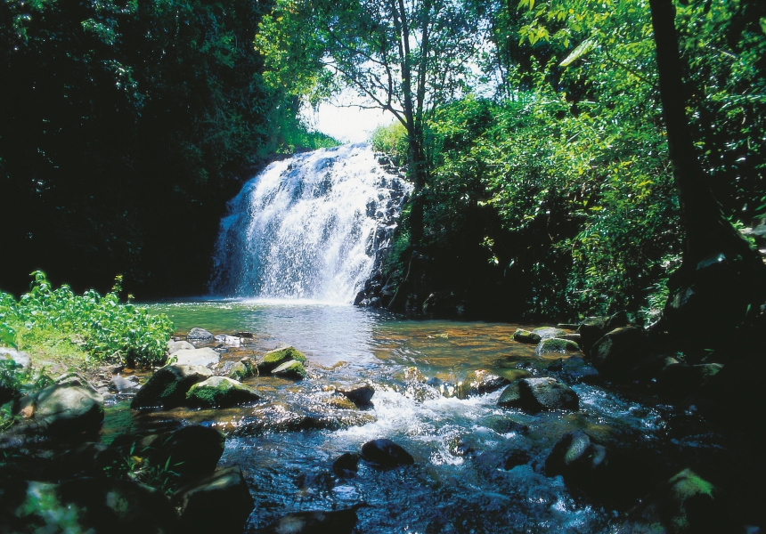 Milla milla falls, Cairns
