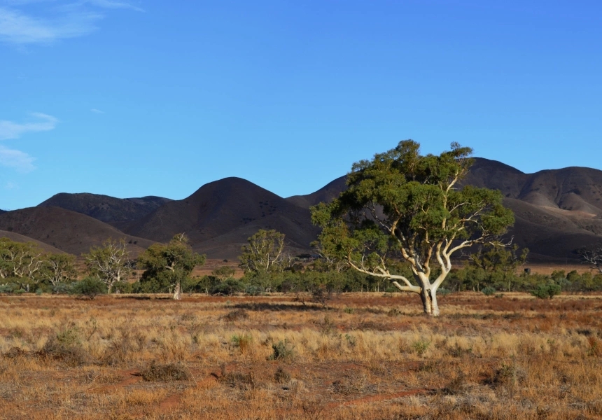 Mount Remarkable National Park
