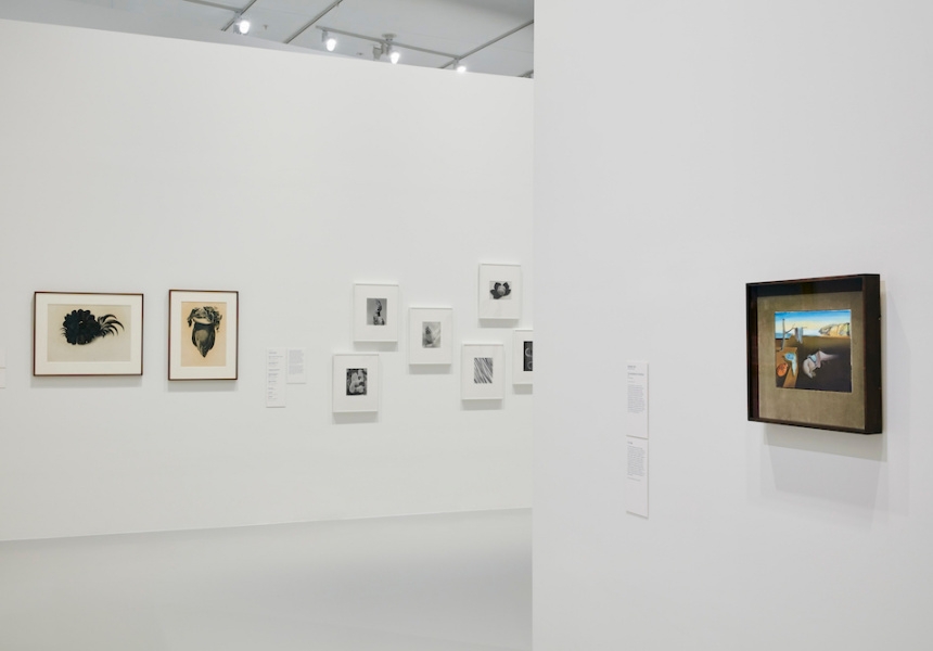 Exhibition image of MoMA at NGV:  130 Years of Modern and Contemporary Art, 2018 on display at  NGV  International from 9 June – 7 October
