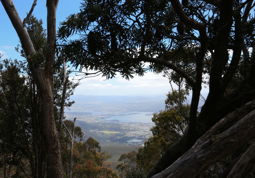 Mount Wellington
