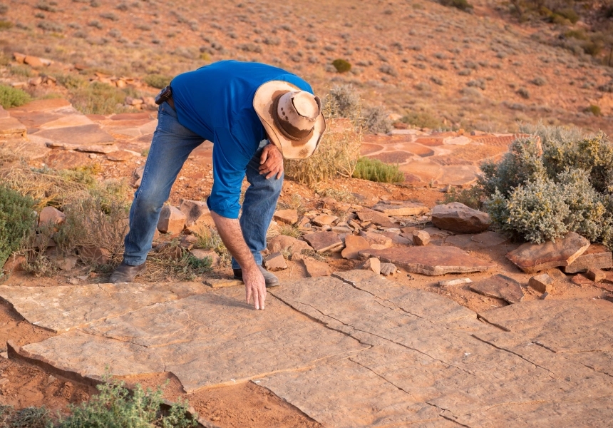 Nilpena Ediacara Fossil Tour
