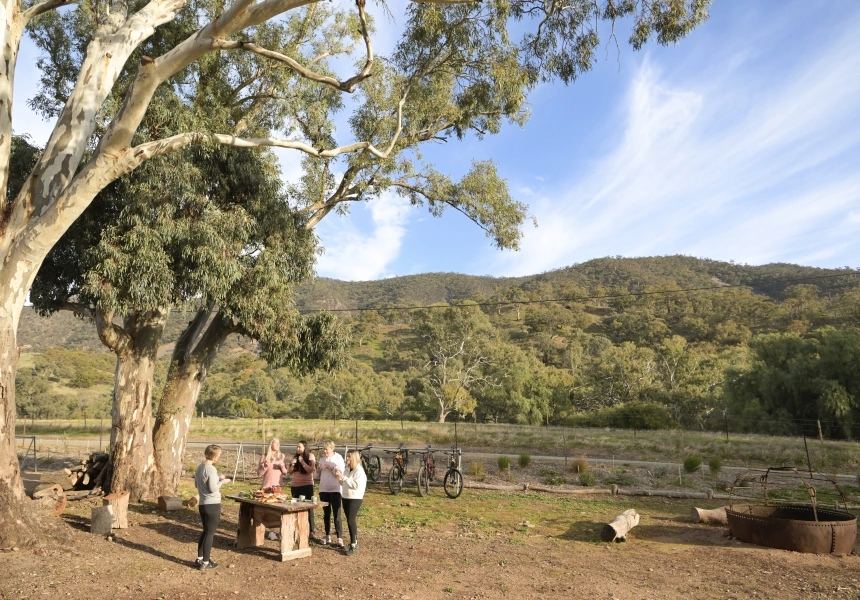 Melrose, Flinders Ranges
