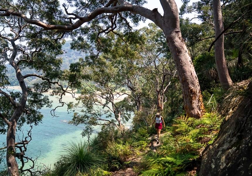 Ku-ring-gai Chase National Park
