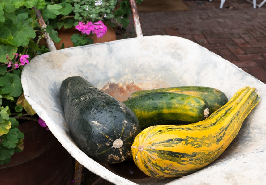 The Seasonal Garden Cafe, Hahndorf
