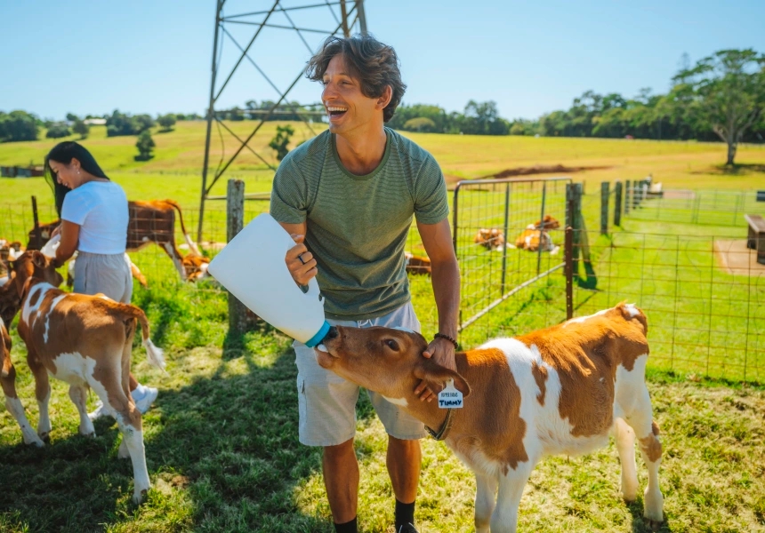 Maleny Dairies
