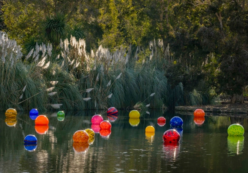 Chihuly in the Gardens
