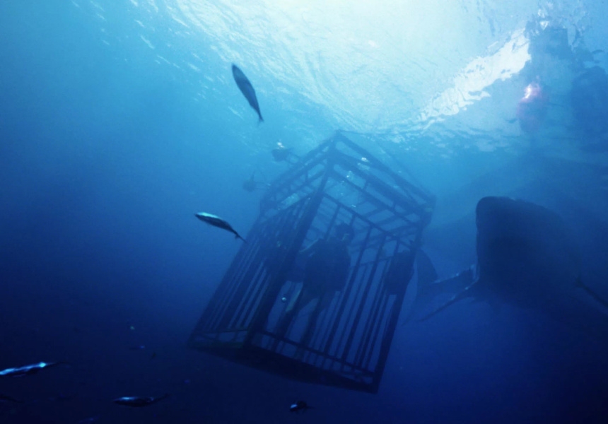 47 Meters Down
