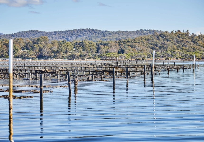 Sapphire Coast, NSW
