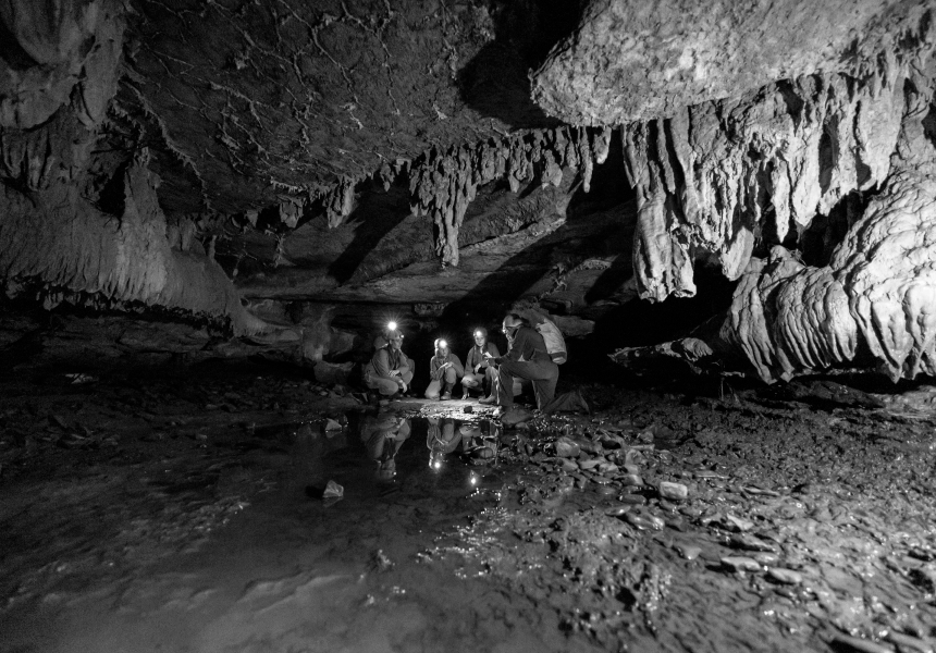 Wild Cave Tours
