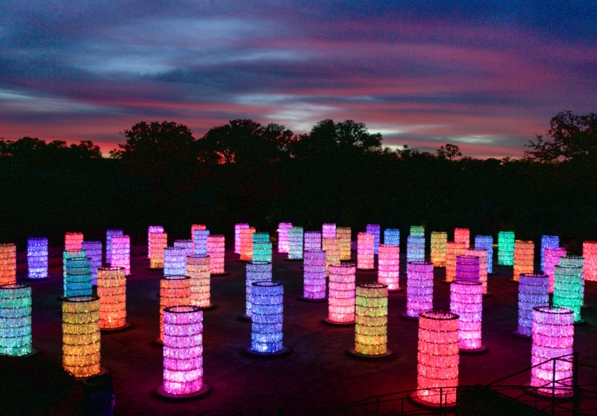 Light Towers, Sensorio - Copyright © 2021 Bruce Munro. All rights reserved. 
