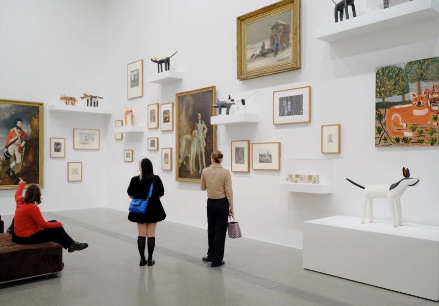 <p>Installation view of Cats & Dogs on display at The Ian Potter Centre: NGV Australia</p>
