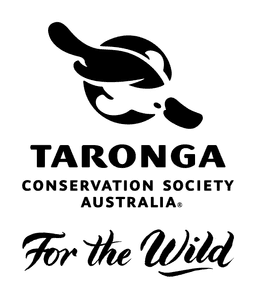 Produced by Broadsheet in partnership with Taronga Zoo