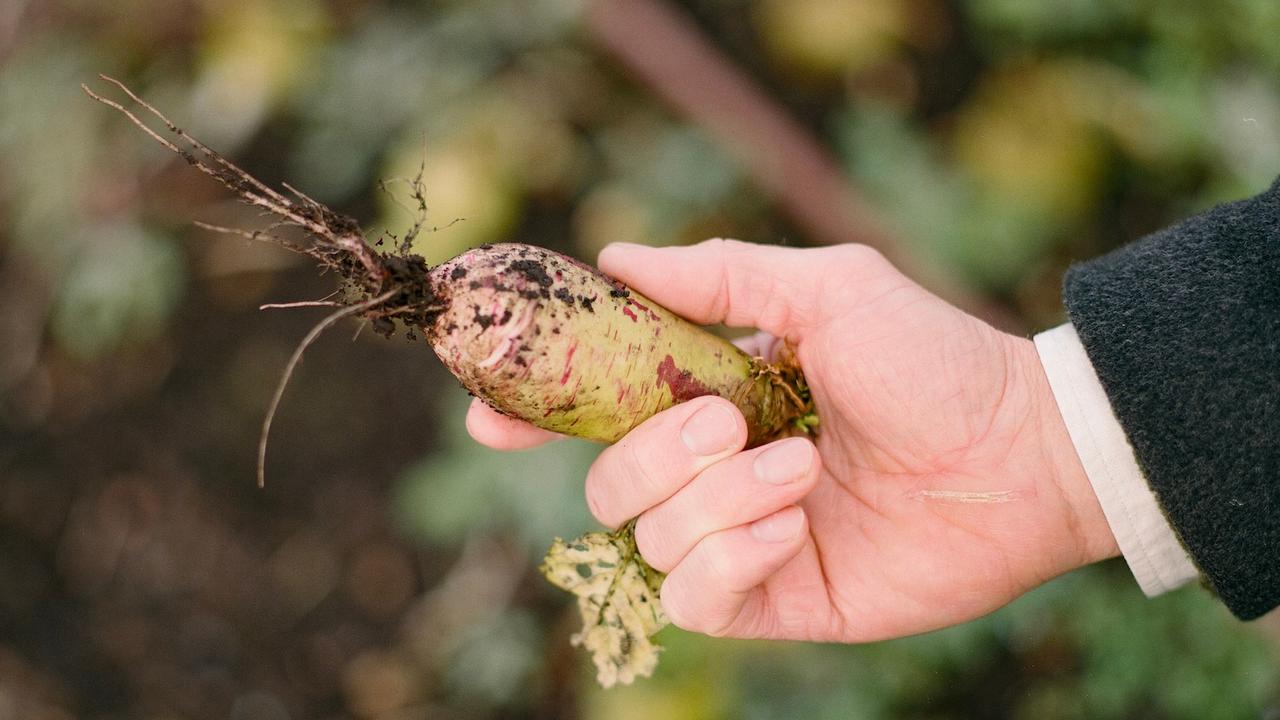 Le Doyenne grows 100 per cent of its fruit and vegetables during the warmer half of the year. Photo: Irvin Heller